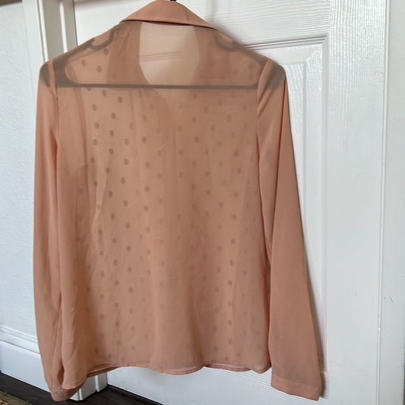 Hot & Delicious tan blouse with skulls, size S - Picture 3 of 3